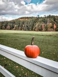 pumpkin on white fence